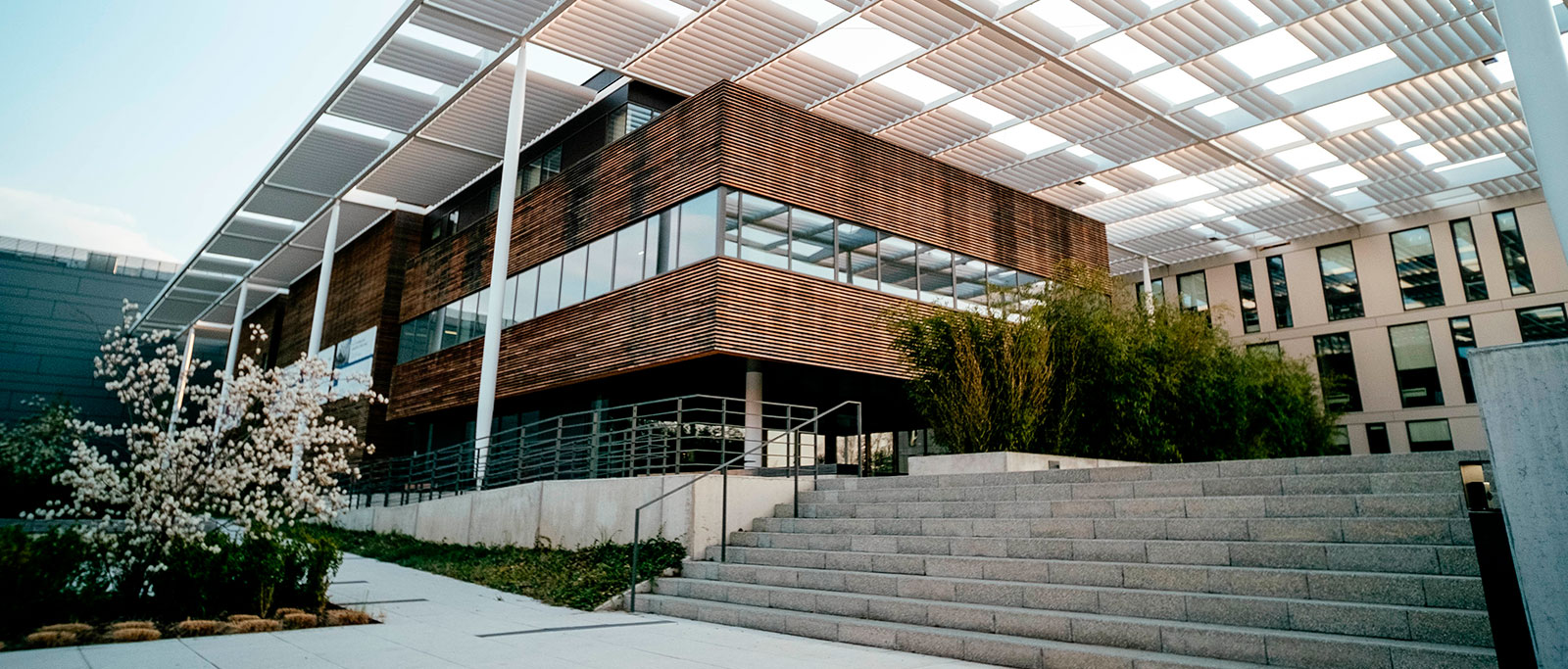 Taller de Tesis para arquitectura