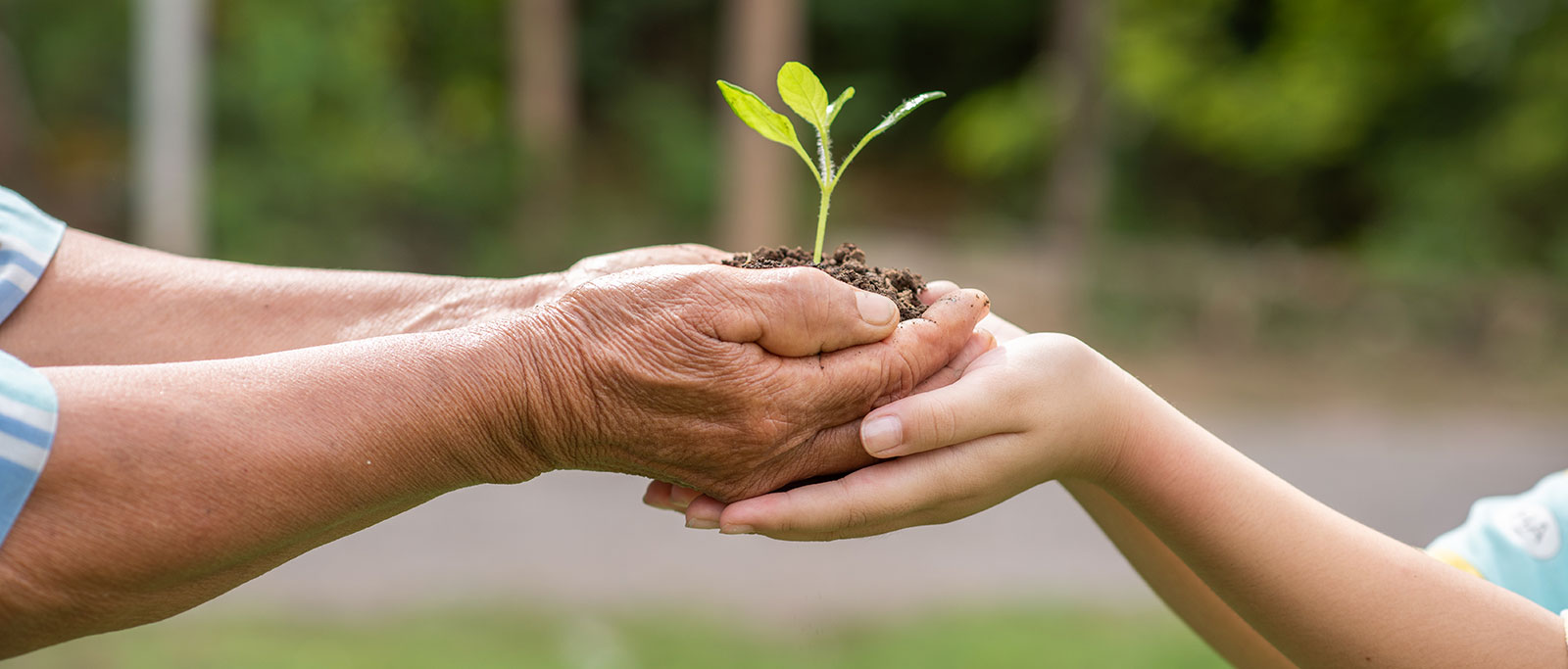 Taller de Tesis para Ingeniería Ambiental